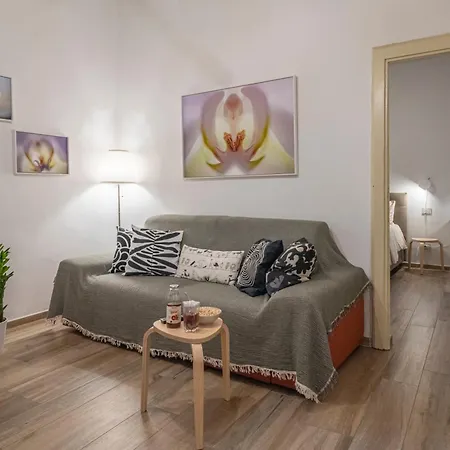 Art 아파트 피사